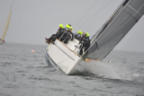 animal gbr1952l kip 13 130511 4984